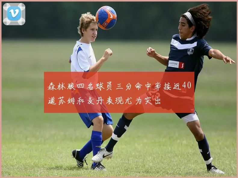 森林狼四名球员三分命中率接近40道苏姆和麦丹表现尤为突出