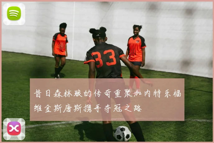 昔日森林狼的传奇重聚加内特乐福维金斯唐斯携手夺冠之路